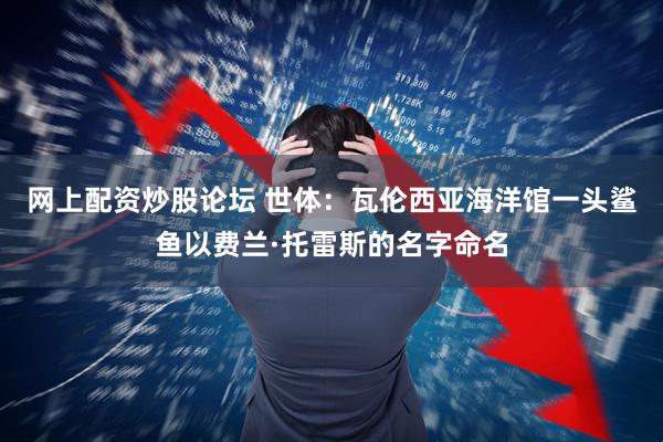 网上配资炒股论坛 世体：瓦伦西亚海洋馆一头鲨鱼以费兰·托雷斯的名字命名